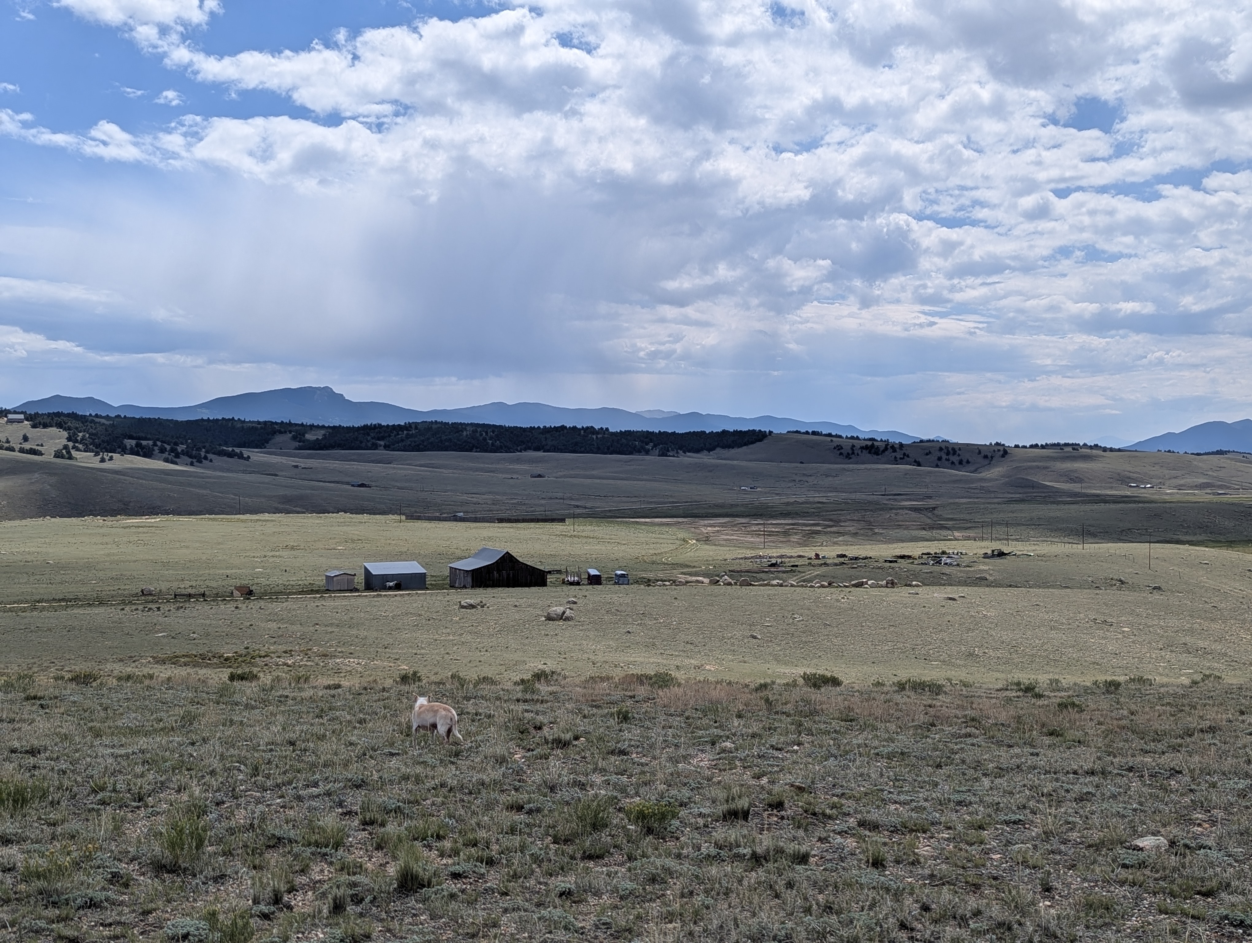 SouthPark, Park County, Jefferson, Colorado